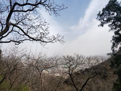-北京鹫峰国家森林公园