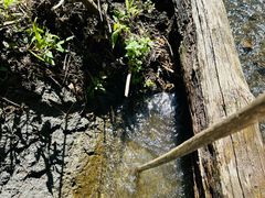 -峡谷浮石林景区