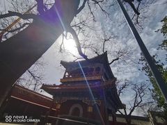 -雍和宫