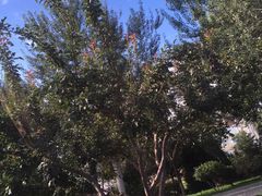 -新华百货CC Park购物广场