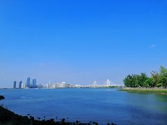 -万绿园