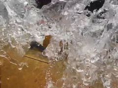 -增城大丰门漂流