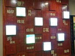 -广州神农草堂中医药博物馆