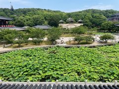 -三国水浒景区(无锡影视基地)