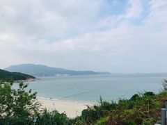 -杨梅坑