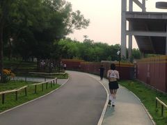 -回龙观体育文化公园