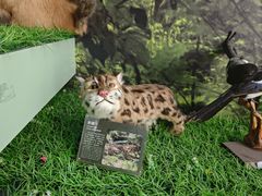 -房山世界地质公园博物馆