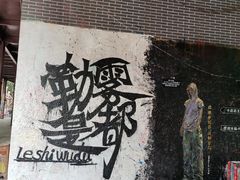 -黄桷坪涂鸦艺术街