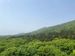 -灵谷景区