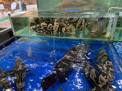 水产区-东江海鲜酒家(艺都分店)