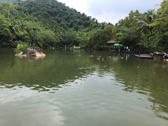 -呀诺达热带雨林