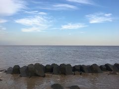 -南汇嘴观海公园