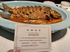 -阿五黄河大鲤鱼(纬三路店)