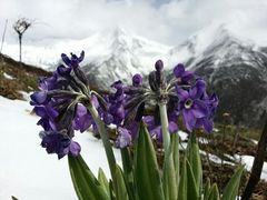 -金逸影城(中关村店)