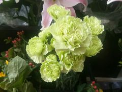 -红袖花坊(大学路店)