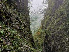 -塔云山