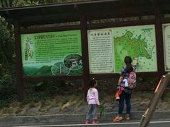 -大屏嶂森林公园