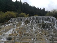-黄龙山原始森林景区