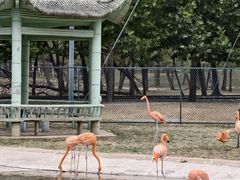 -秦皇岛野生动物园