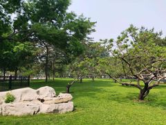 -丰台花园