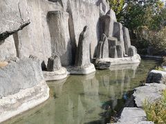 -北京上庄水库尚野露天户外自助烧烤