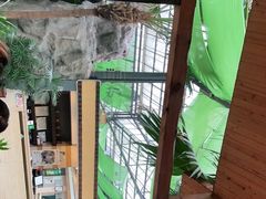 -陶然居·重庆菜(生态园店)