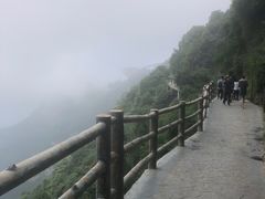 -少华山国家森林公园