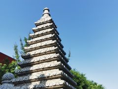 -木塔寺遗址生态公园