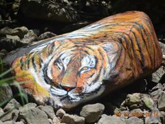 -九龙江国家森林公园