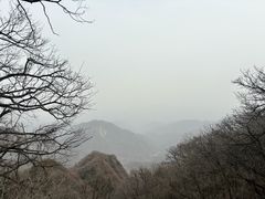 -栾川竹海野生动物园