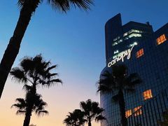 -金沙湖公园
