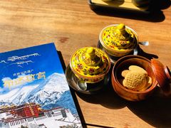 -松赞拉萨林卡酒店