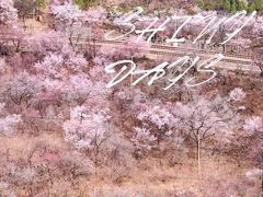 -居庸关长城