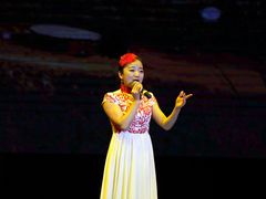 -陕北民歌大舞台