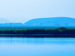 -坝上草原大汗行宫旅游景区