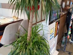 -盛京富丽园老菜馆·东北菜(和平南大街店)