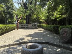 -上海佘山国家森林公园天马山园