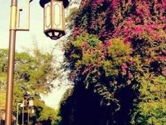 android_upload_pic-铁路文化公园
