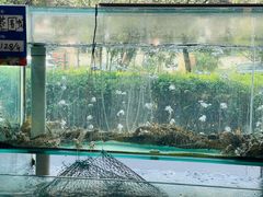 -金沙滩海鲜餐厅·海肠捞饭·手工水饺(梅江龙水园店)