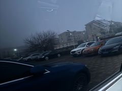 -神州租车(上海浦东机场服务点)