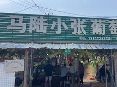 -马陆小张葡萄园农家乐