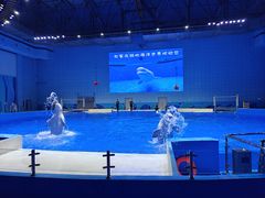 -石家庄极地海洋世界