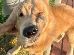 -博特宠物医院24h犬猫全科.骨科·异宠
