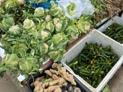 -雪绒花路停车场