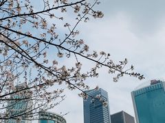 -西北湖绿化广场