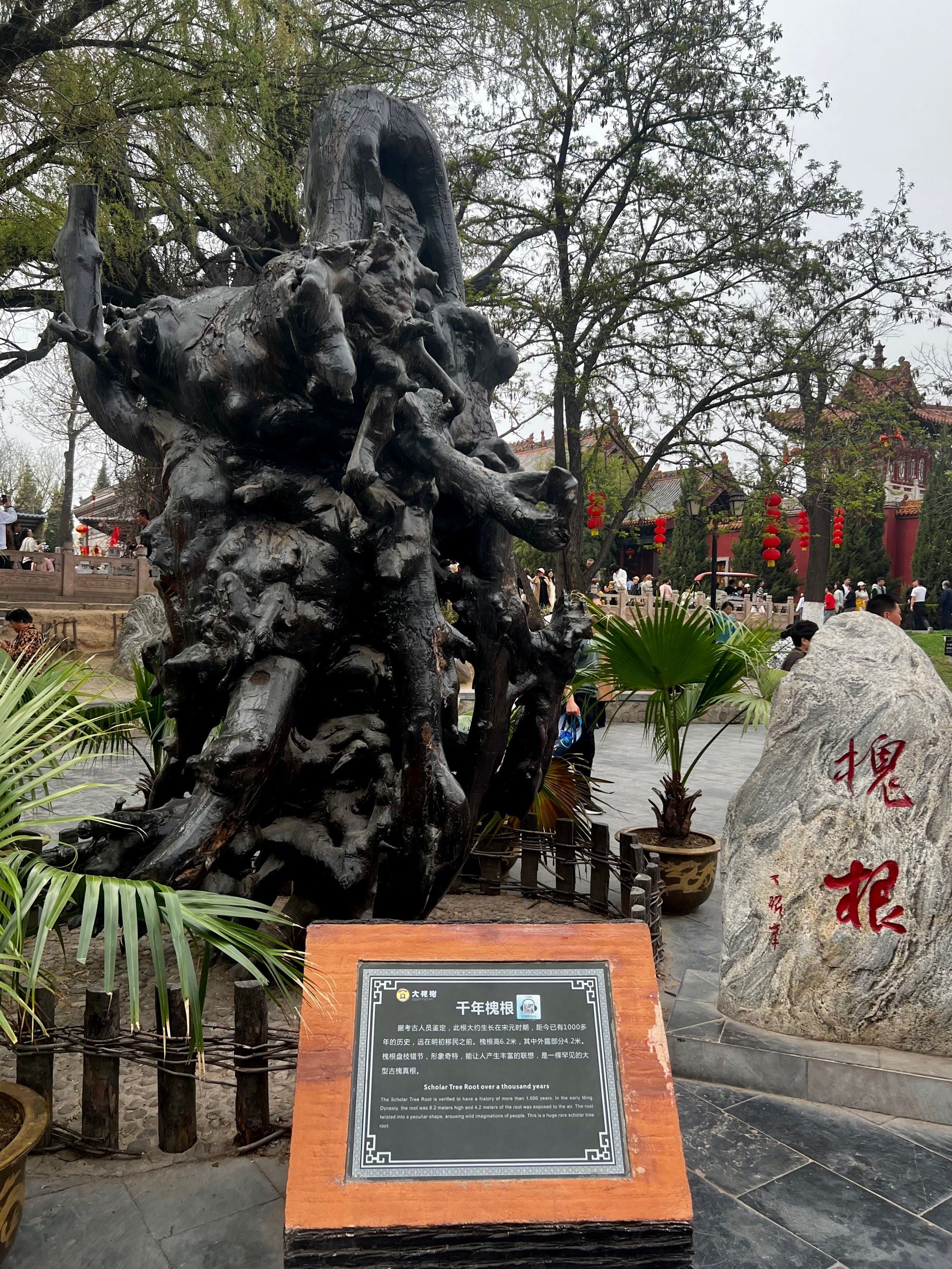 问我老家在何处,山西洪洞大槐树