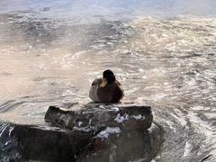 -水磨沟公园