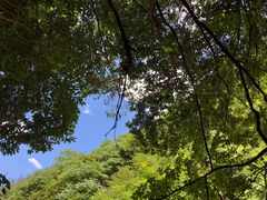 -浙西大峡谷
