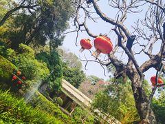 -广州兰圃