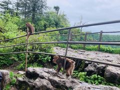 -峨眉山风景名胜区